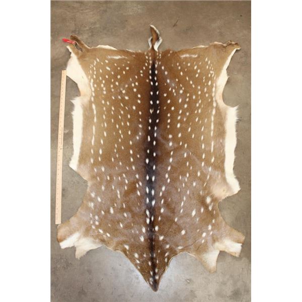 XL AXIS DEER Hide