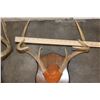 Image 12 : (4) WHITETAIL DEER Antler Racks on Wooden Plaques (ONE$)