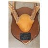 Image 4 : (4) WHITETAIL DEER Antler Racks on Wooden Plaques (ONE$)