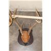 Image 9 : (4) WHITETAIL DEER Antler Racks on Wooden Plaques (ONE$)