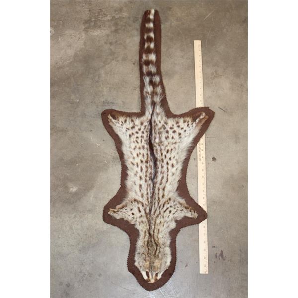 SPOTTED GENET CAT Hide Rug with Brown Felted Backing
