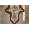 Image 3 : SPOTTED GENET CAT Hide Rug with Brown Felted Backing