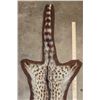 Image 4 : SPOTTED GENET CAT Hide Rug with Brown Felted Backing