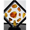Image 13 : (10) Pieces of Authentic Myanmar Fossil AMBER Plant Resin with Insect and Plant Inclusions (ONE$)