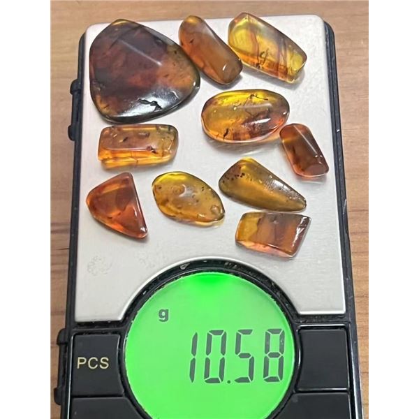 (10) Pieces of Authentic Myanmar Fossil AMBER Plant Resin with Insect and Plant Inclusions (ONE$)