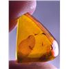 Image 3 : (10) Pieces of Authentic Myanmar Fossil AMBER Plant Resin with Insect and Plant Inclusions (ONE$)