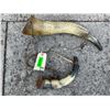 Image 3 : (1) Antique Powder Horn and (1) Antique Blow Horn for Hounds (ONE$)