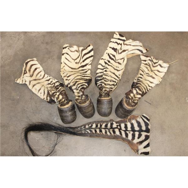(4) ZEBRA Hooves with Leg Hide and (1) ZEBRA Tail (ONE$)