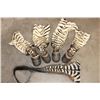 Image 1 : (4) ZEBRA Hooves with Leg Hide and (1) ZEBRA Tail (ONE$)