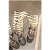 Image 4 : (4) ZEBRA Hooves with Leg Hide and (1) ZEBRA Tail (ONE$)