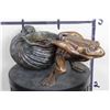 Image 1 : BRONZE FROG Pulling a BRONZE SNAIL Sculpture, Weight 9lbs