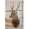 Image 3 : SIKA DEER Wall Pedestal