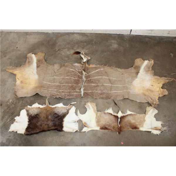 (1) KUDU Back Hide, (1) BLACKBUCK Back Hide, and (1) SPRINGBOK Back Hide (ONE$)