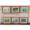 Image 2 : (6) Wildlife Photo Prints with matching Frames (ONE$)