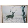 Image 4 : (6) Wildlife Photo Prints with matching Frames (ONE$)