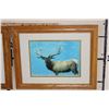 Image 7 : (6) Wildlife Photo Prints with matching Frames (ONE$)