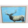 Image 8 : (6) Wildlife Photo Prints with matching Frames (ONE$)