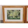 Image 9 : (6) Wildlife Photo Prints with matching Frames (ONE$)