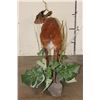 Image 8 : Life-sized RED DUIKER on a simulated Rock and Plant Base