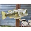 Image 2 : *New* Huge Reproduction LARGE MOUTH BASS Fish Mount