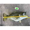 Image 4 : *New* Huge Reproduction LARGE MOUTH BASS Fish Mount