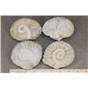 Image 2 : (4) AMMONITE FOSSIL Specimens from Morocco (ONE$)