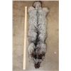 Image 1 : Nice and Soft SILVER FOX Cross Hide