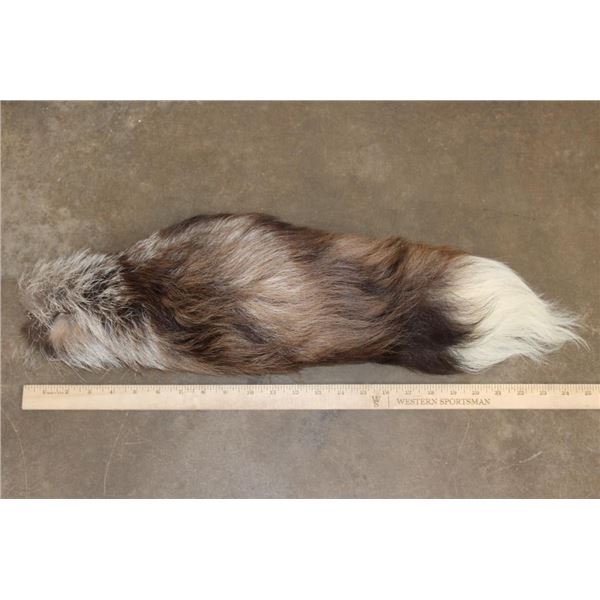 SILVER FOX Cross Tail on a Keychain