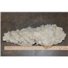Image 8 : XXL Natural Raw WHITE ARAGONITE Crystal Formation