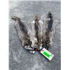 Image 2 : (3) *New* Large Soft and Tanned RACCOON Furs or Hides (ONE$)