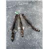 Image 4 : (3) *New* Large Soft and Tanned RACCOON Furs or Hides (ONE$)