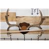 Image 4 : (2) MULE DEER Antler Racks on Wooden Plaques (ONE$)