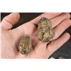 Image 2 : (12) TRILOBITE FOSSILS From Morocco (ONE$)