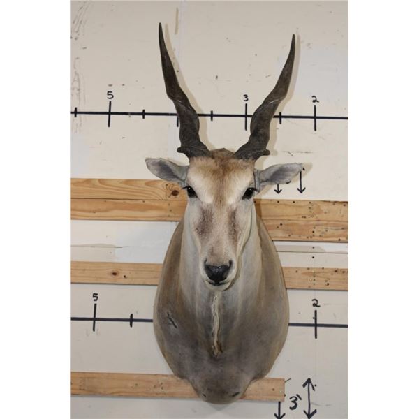 ELAND Shoulder Mount