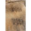 Image 4 : *Brand New* XXL COW HIDE with several Brand Scars