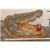 Image 2 : XL CROCODILE Head with *Real Skin* and *Real Teeth* mounted on a Wood Pedestal