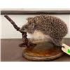 Image 2 : *Rarely Seen* Life-sized EUROPEAN HEDGEHOG Mounted on a Wood Base