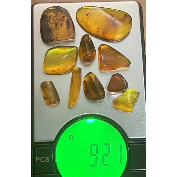 (10) Pieces of Authentic Myanmar AMBER Fossil Insect and Plant Specimens, Weight: 9.21 g (ONE$)