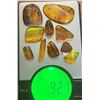 Image 1 : (10) Pieces of Authentic Myanmar AMBER Fossil Insect and Plant Specimens, Weight: 9.21 g (ONE$)