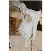 Image 6 : CORSICAN SHEEP Ram Skull with Removable Horns