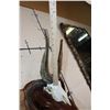 Image 10 : 4 Horned JACOB SHEEP Skull on a Wood Wall Pedestal