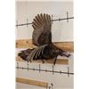 Image 1 : Life-sized Flying TURKEY with a Wire Wall Hanger