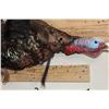 Image 5 : Life-sized Flying TURKEY with a Wire Wall Hanger