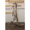 Image 1 : Life-sized BOBCAT Leaping at a Northern Bobwhite Bird on a Driftwood Base