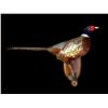 Image 1 : Life-sized Ring-Neck PHEASANT Mounted on a Wood Slice