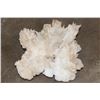Image 1 : XL 17 lb WHITE ARGONITE Crystal Cluster Formation