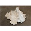 Image 3 : XL 17 lb WHITE ARGONITE Crystal Cluster Formation