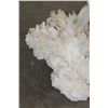 Image 5 : XL 17 lb WHITE ARGONITE Crystal Cluster Formation