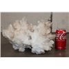 Image 6 : XL 17 lb WHITE ARGONITE Crystal Cluster Formation