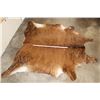 Image 2 : *Brand New* Brindle COW HIDE